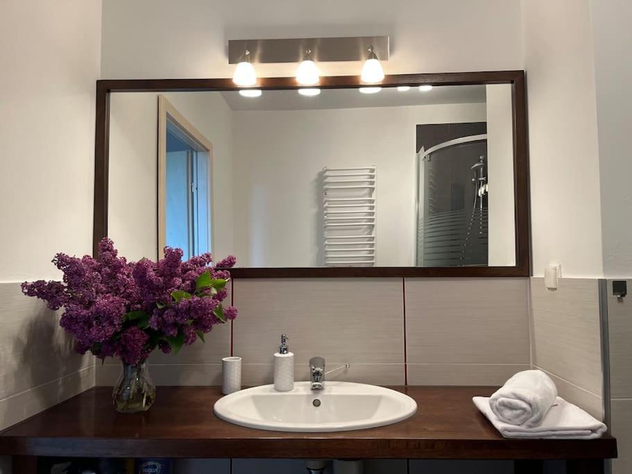 Apartament Hemingwaya เยเลเนียกูรา ภายนอก รูปภาพ