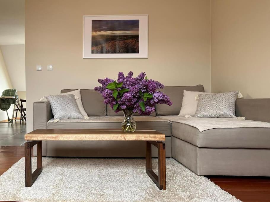Apartament Hemingwaya เยเลเนียกูรา ภายนอก รูปภาพ